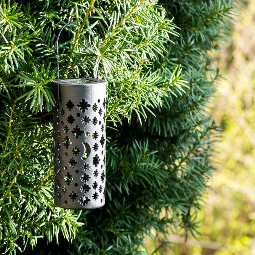 Iespraužamas dārza LED saules lampas laternas ar krēslas sensoru, 4 gab. (9)