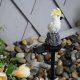 Saules dārza LED lampa papagaiļa formā, balta