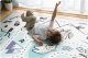 Izglītojošs sarullējams bērnu putu paklājs Nukido NK-342 | Kids Roll-up Foam Mat