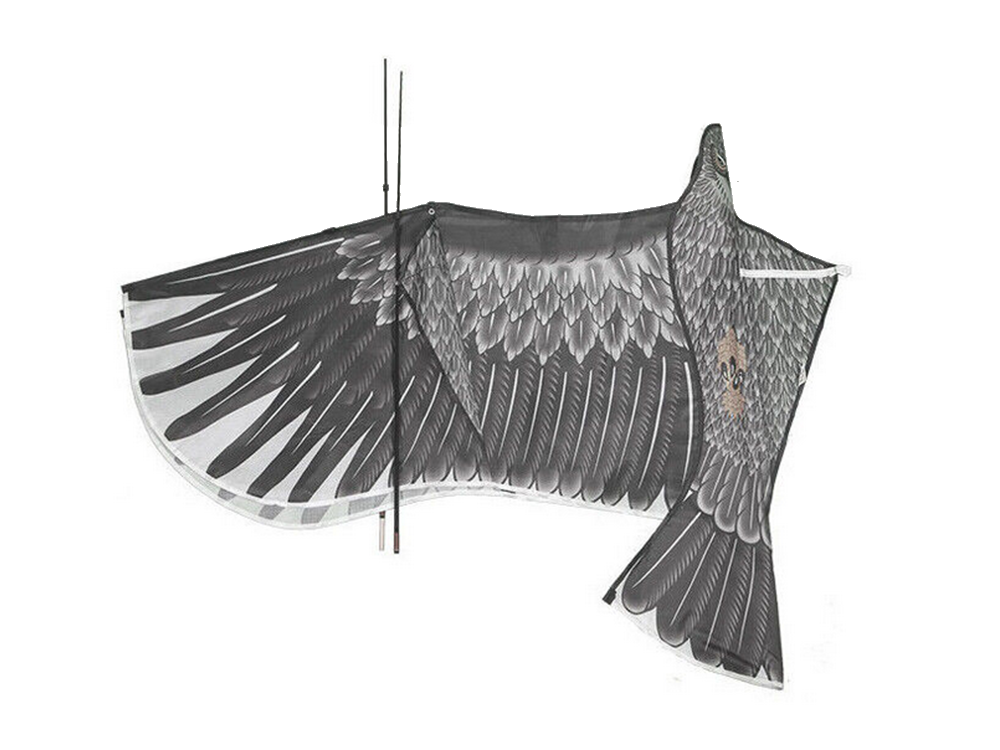 Lidojošais Pūķis Ērglis, 200cm | Flying Kite Eagle (1)