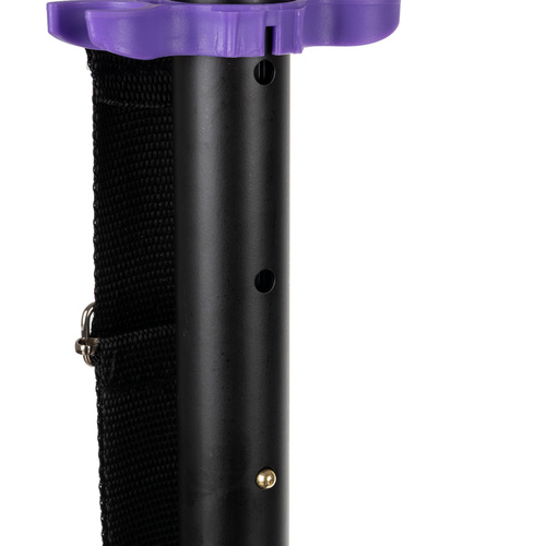 Spidoo bērnu skrejritenis Kruzzel 25630, Violets | Kids Scooter (7)