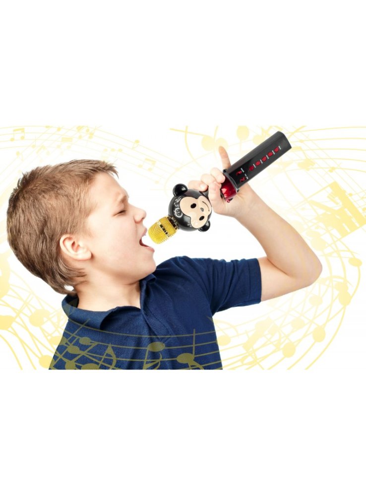 Maxlife MX-100 Bezvadu Bluetooth Bērnu Karaoke Mikrofons ar Iebūvētu Skaļruni, Dažādas krāsas | Portable... (0)
