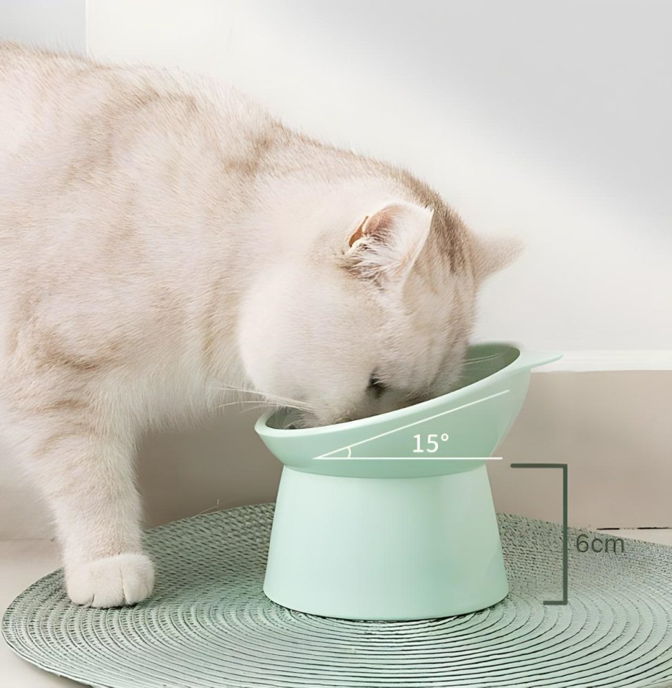 Ergonomiska slīpa kaķu bļoda uz statīva, zaļa (0)