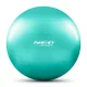 Neo-Sport 65cm Turquoise Exercise Ball – NS-951 Stability Fitness Equipment