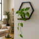 Hexagon Wall Shelf Floating Plant Stand ModernHome Industrial Loft Decor