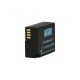 Newell DMW-BLC12 rezerves akumulators (1200mAh)