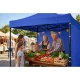 Plonos Garden Pavilion with 3 Walls 3x3m Blue