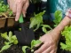 Dārza Lāpsta Stādīšanas Pārstādīšanai Augu Stepēšanai 32 cm | Garden Spade For Planting Transplanting Plants
