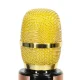Bezvadu karaoke mikrofons bērniem ar Bluetooth skaļruni 2000mAh SD USB, zelta