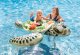 INTEX Inflatable Sea Turtle Ride-On Pool Float for Kids 57555