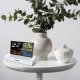 Meteo SP110B Weather Station with DCF, White