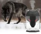 Carruzzo Wolf 1 Air Humidifier and Diffuser