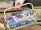 Food Storage Container with Cooling Inserts, 25x16x11.5 cm