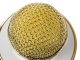 Wireless Karaoke Microphone with Bluetooth Speaker and Voice Changer, Gold