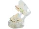 Dental Jaw Model with Orthodontic Braces, 6.5x6.5x7.5 cm