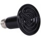 Infrared Heating Bulb for Terrarium 100W, Black