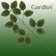Искусственные ветки листьев розы Gardlov, 51 см, набор 12 шт.
