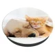 Popsockets 2 держатель с котом и собакой и подставка для телефона