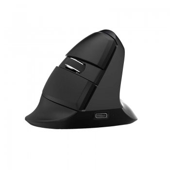 Bezvadu vertikālā pele Delux M618Mini BT+2.4G RGB 4000DPI (melna) | Wireless Vertical Mouse (black)