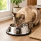 Stainless Steel Dog and Cat Bowl with Rubber Base 1.3L, Silver