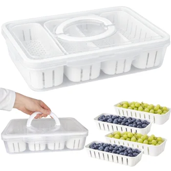 Divided Food Storage Container with Drainer and Handle, Clear