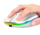 Rechargeable Wireless Mouse with RGB Lighting, White