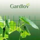 Gardlov augu atbalsta tīkls vīteņaugiem 2x10m, zaļš