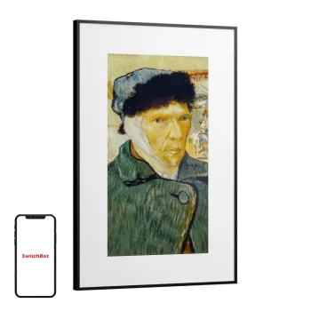 Digitālais foto rāmis SwitchBot AI Art Frame 31.5" E Ink 2560 x 1440 Wi-Fi