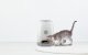 Smart Pet Feeder Petoneer Nutri Vision PF007 Camera 3.7L WiFi
