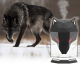 Air Humidifier - Diffuser - Wolf I CARRUZZO