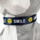 Интерактивная собака SMILE Серая Хаски