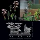 LEGO Icons 10315 Tranquil Garden konstruktors