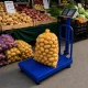 Elektroniskie platformas svari ar atzveltni, 100 kg, LCD, zili