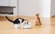 CatLink F03 Standard Smart Intelligent Chamber Food Dispenser Bowl Container-Dispenser for Dogs Cats
