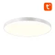 Умный потолочный светильник Gosund LB11 32см WiFi/Bluetooth RGBCW 1920lm с пультом