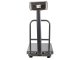 Electronic Platform Scale 300kg with Backrest and LCD Display