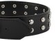 Dog Collar with Studs, Faux Leather, Adjustable, Size L