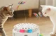 Интерактивная игрушка для кошек 3-в-1 Rojeco RWJTY823-02 Двойное питание