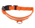 LED Light Up Dog Collar for Night Walking 32-37 cm, Orange