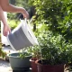 Большое складное силиконовое ведро с ручкой 5 л серо-белое