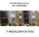 Ūdens miglas aizkars 10 m ar 11 smidzinātājiem, melns