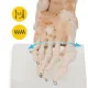 4FIZJO potītes locītavas anatomiskais modelis ar saitēm 1:1