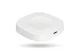 Viedās mājas vārteja MOES MHUB-C Zigbee BLE