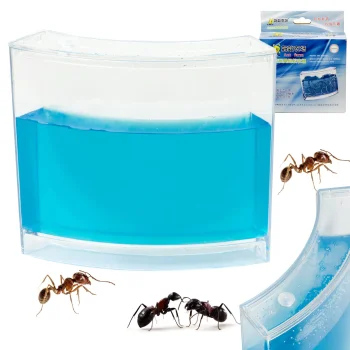 Educational Gel Ant Farm Aquarium, 16x14 cm
