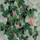 Augu atbalsta tīkls TENAX Flora dārzeņiem, 1.5 x 10 m, zaļš