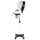 Professional Standing Hair Steamer Gabbiano 658, 650W