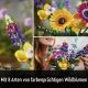 LEGO Icons 10313 Wildflower Bouquet
