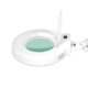 Hydraulic Beauty Bed Set A210 with LED Magnifying Lamp S5 & Stool 302, White