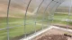 Siltumnīca KLASIKA TUBE 3x8 m (24 m²), 4 mm polikarbonāts, ar pamata profilu