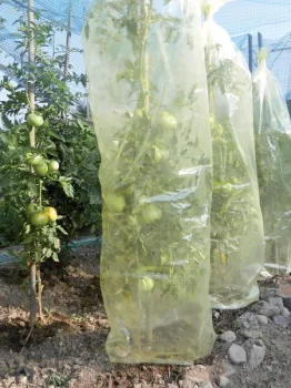 Рукавная пленка для томатов MR. TOMATO, 0,6 x 10 м, желтая